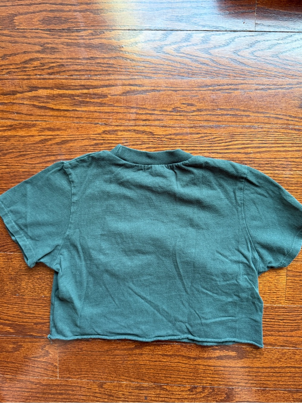 Brandy Melville green New York embroidered cropped t shirt - Picture 2 of 2